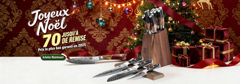 法国jpg电脑端banner