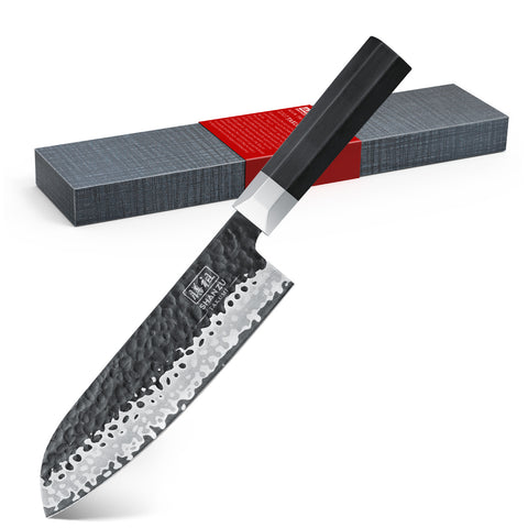 Takumi Japanese Gyuto Santoku Knife